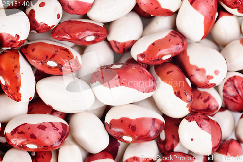 Image of haricot beans macro background