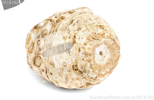 Image of celery root  isolation  on white