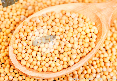 Image of Mustard seeds in wooden spoon and over as background 