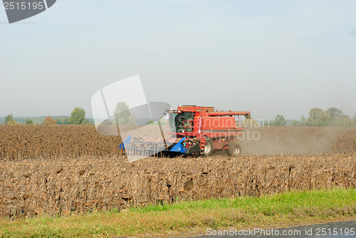 Image of Harvesting of sunflower seeds with combine