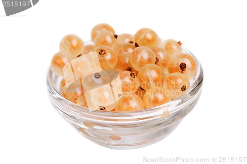 Image of White currants in  glass  isolated  on  white