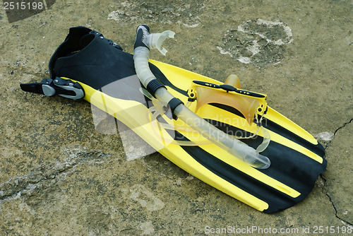 Image of flippers  on the concrete pier