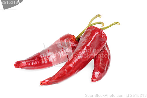 Image of hot red pepper isolation on white 