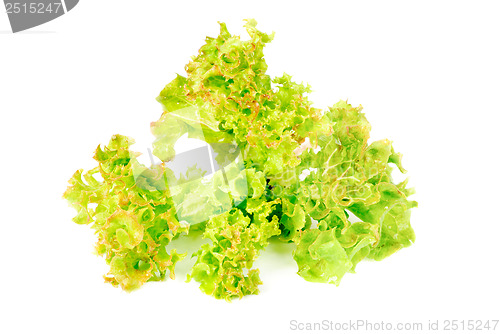 Image of fresh salad isolated on  white