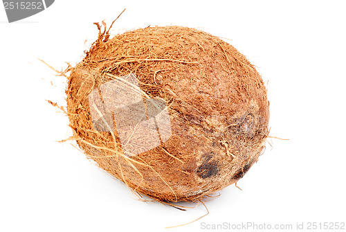 Image of Coconut  isolated  on  white