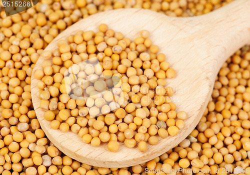 Image of Mustard seeds in wooden spoon and over as  background 