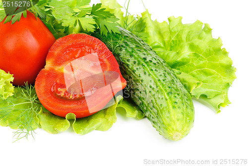 Image of fresh vegetables (salad, cucumber, lettuce)  isolated  on  white