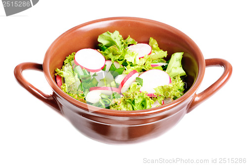 Image of fresh salad with radishes, lettuce and onions on  bowl isolated on white