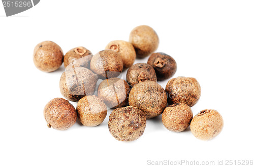 Image of Some whole allspice(jamaica pepper) isolated on  white.Used as a spice in cuisines all over the world. Also used in medicine. 