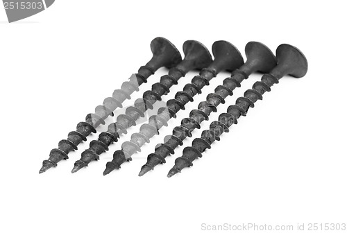Image of black screws isolation on a white background 