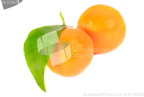 Image of two mandarines isolation on white 