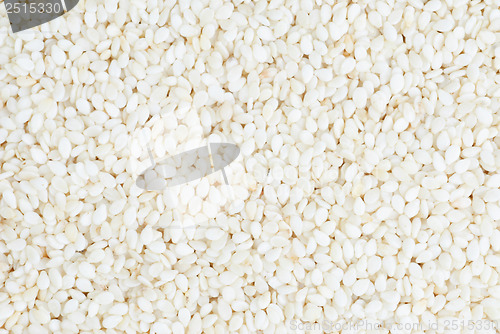 Image of sesame background, macro