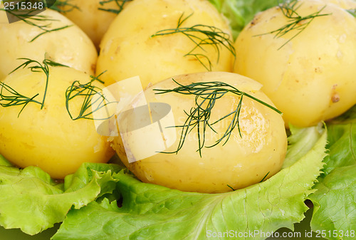 Image of New potato  and green  salad  background