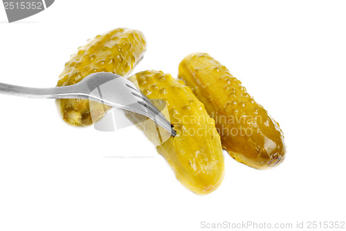Image of Marinated cornichons on the fork isolated on the white background