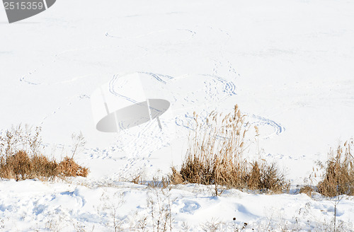Image of figure of the heart in the snow