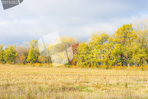 Image of Beautiful autumn landscape