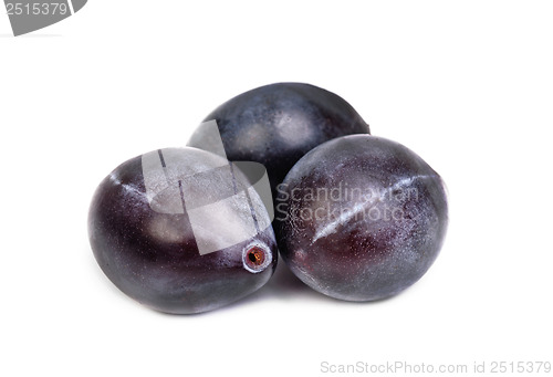 Image of Three fresh blue plums on the white background 