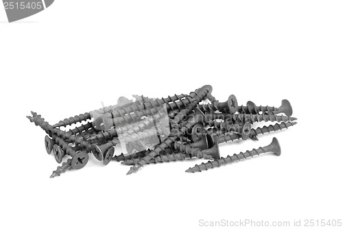 Image of black screws  isolation on a white background 