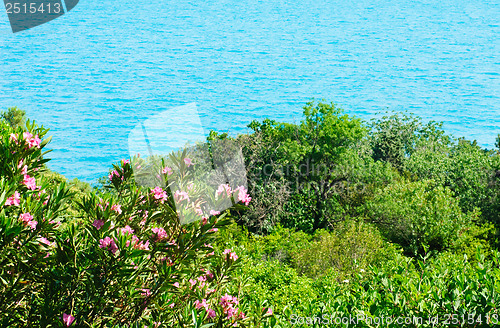 Image of beautiful landscape -sea and sky in Vorontsov Palace, Crimea, Ukraine 