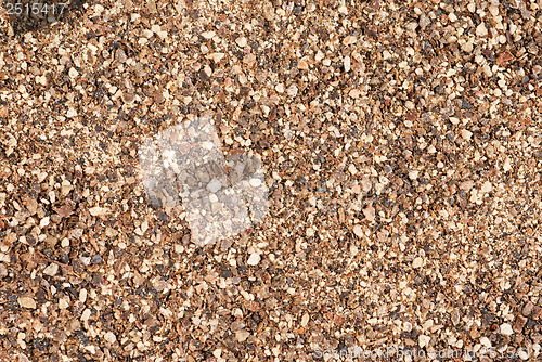 Image of Ground black pepper (Piper nigrum) . Used as a spice in cuisines also used in medicine