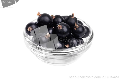 Image of Fresh blackcurrant in glass bowl  isolated on  white