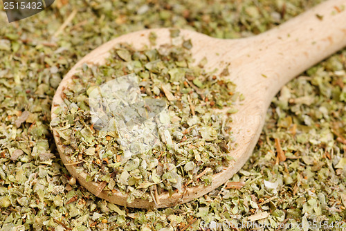 Image of Dried marjoram spice  and wood spoon  as  food background