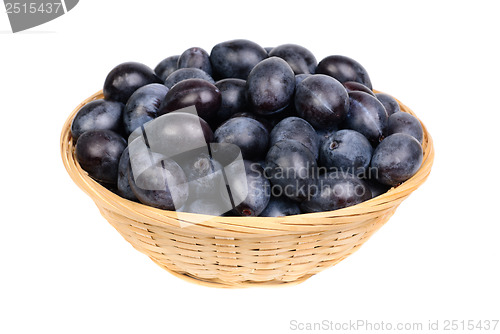 Image of fresh blue plums in Fruit Basket on the white background 