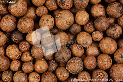 Image of Background texture of whole allspice(jamaica pepper). Macro.