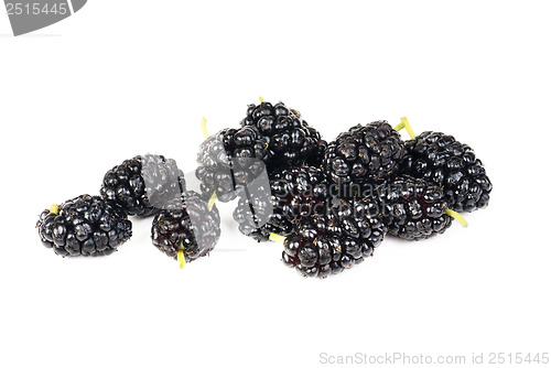 Image of mulberry fruits isolated on white macro 