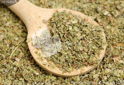 Image of Dried marjoram spice and wood spoon as food background 