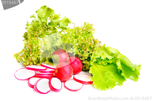 Image of fresh salad , whole and  sliced radish  isolated on white 