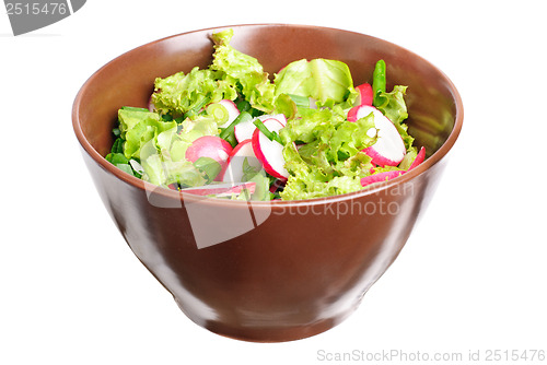 Image of fresh salad with radishes, lettuce and onions on bowl isolated on white 