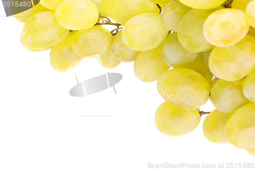 Image of White grapes isolated on white background 