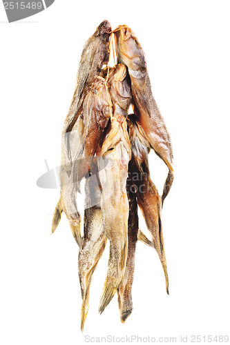 Image of Dried bullhead (goby)  isolated  on  white