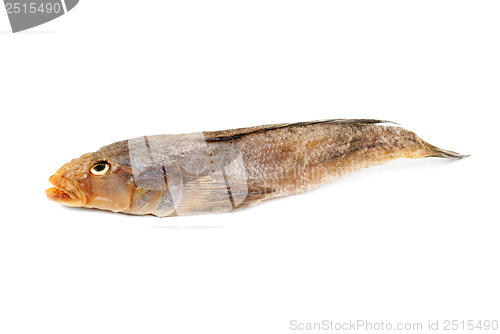 Image of Dried bullhead (goby) isolated on white 