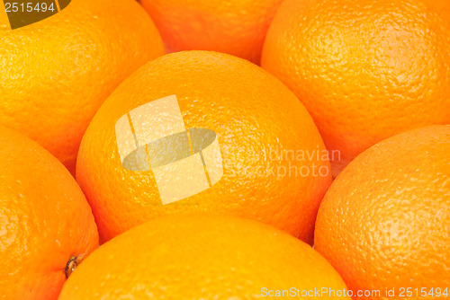 Image of Oranges fruits  background. 