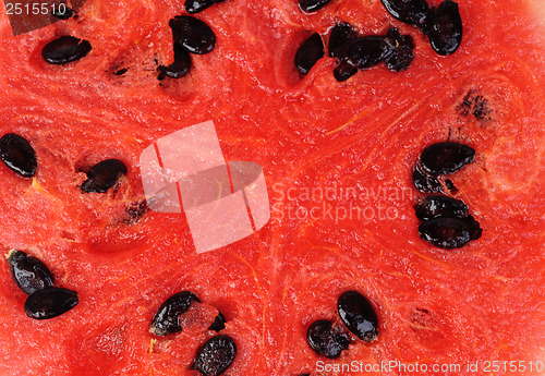 Image of slice of watermelon as food background 