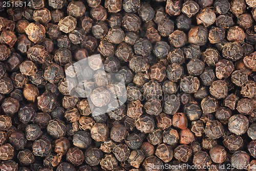 Image of black pepper makro as food background 