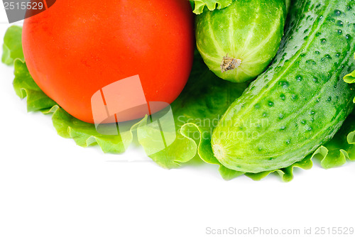 Image of fresh vegetables isolated on white background 