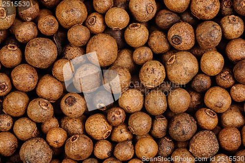 Image of Background texture of whole allspice(jamaica pepper)  Used as a spice in cuisines all over the world. Also used in medicine.