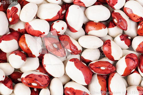 Image of Haricot beans  as  food  background