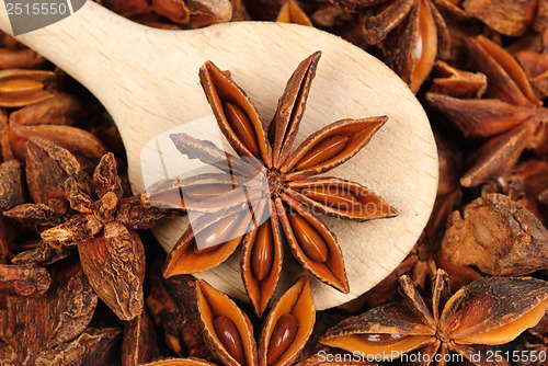 Image of Fresh anise-star with  wooden  spoon, nature spice  background