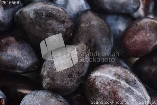 Image of fresh blue plums as food background 