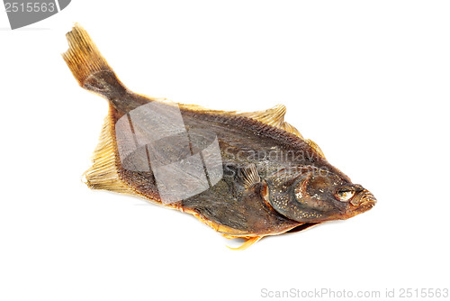 Image of Salted flounder isolated on the white background 