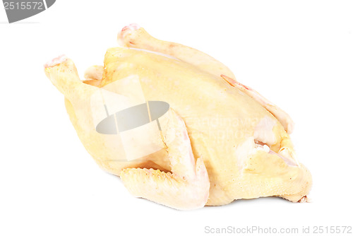 Image of Raw chicken isolated on white background 