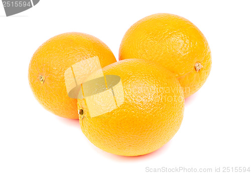 Image of Oranges fruits isolated on white background. 