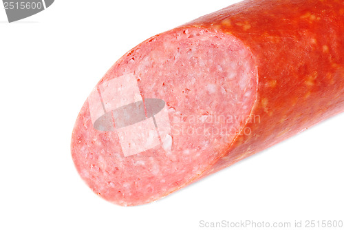 Image of one salami sausage  on  white  