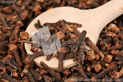 Image of Cloves  (spice) and  wooden  spoon close-up food background 