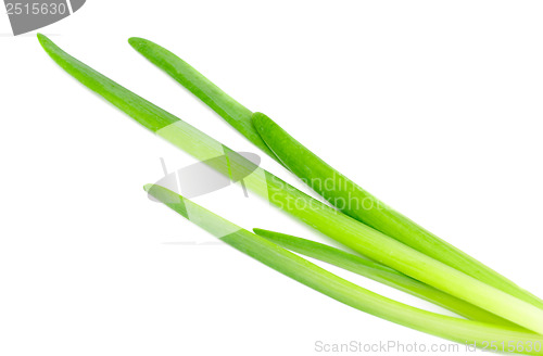 Image of fresh green onions isolated on white 