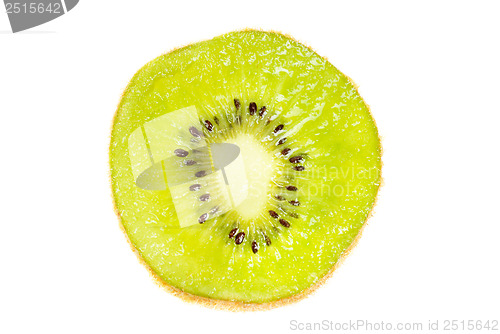 Image of A single slice of kiwi fruit isotated on a white background 